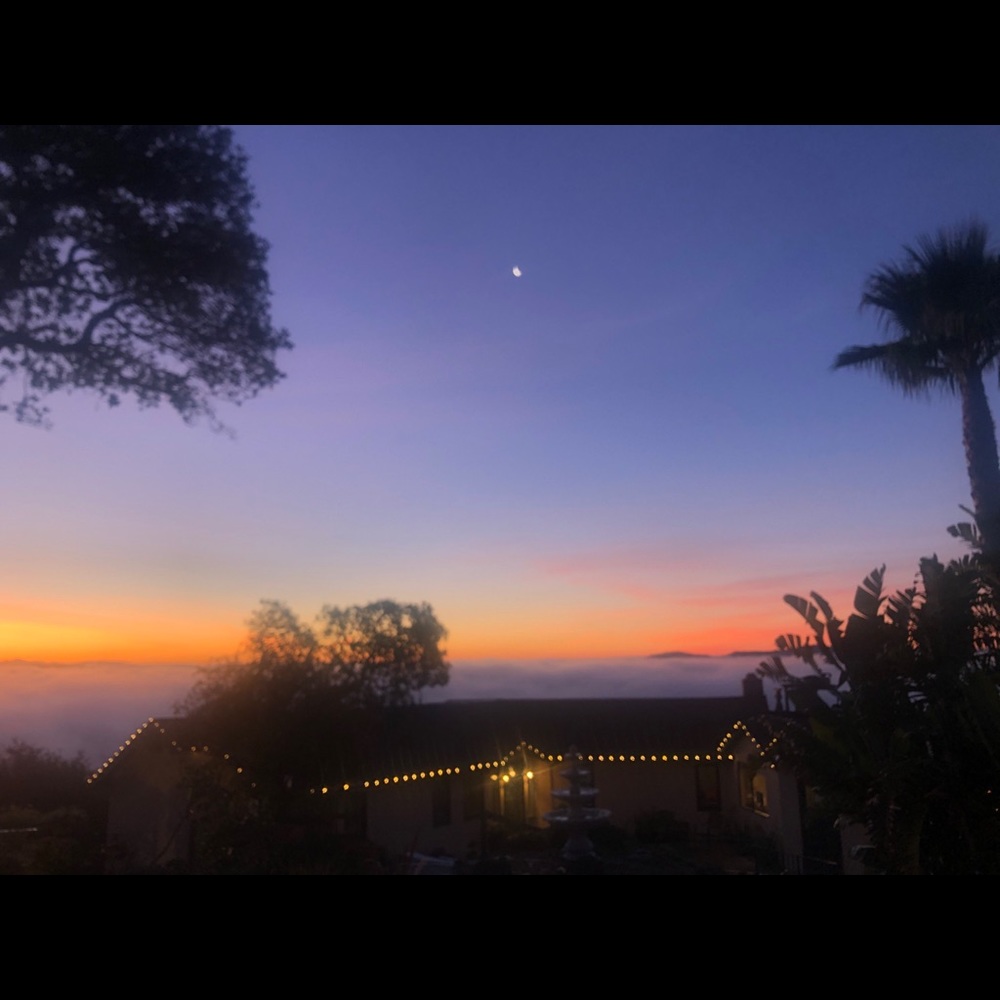 Meet your Posher, Selu